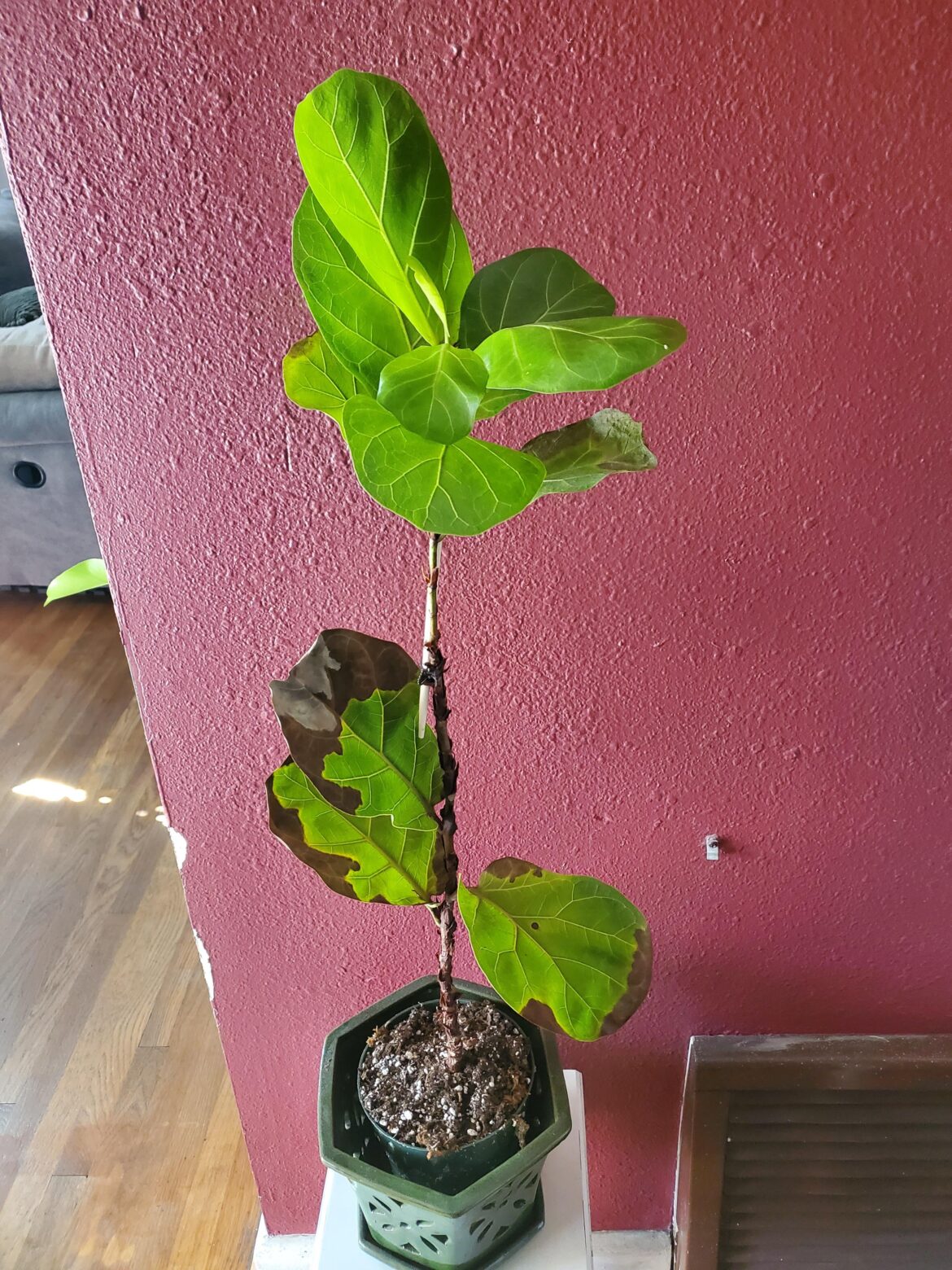 A year in and still holding strong