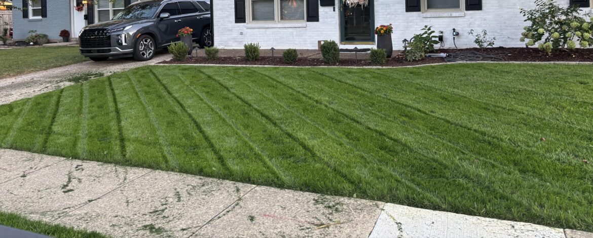 27 days post overseeding - KY