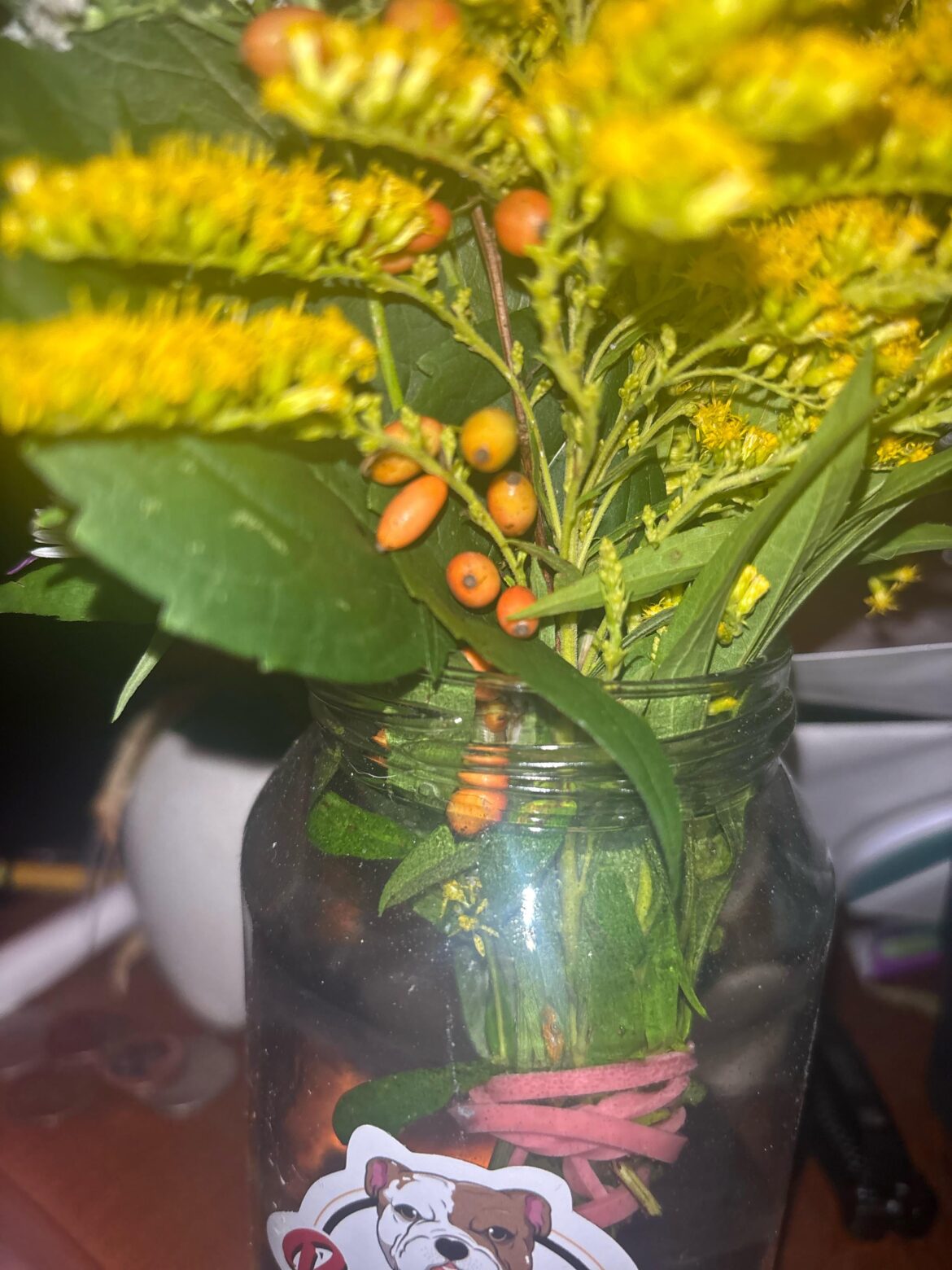 I found these berries in a bush of jaggers and can’t figure out what they’re called