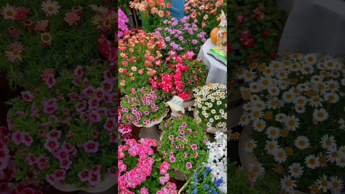 Get Growing🪴🌸 Unique Home Gardening Decor Tips You'll Love 💚#gardening #garden #asmr #oasis #plants