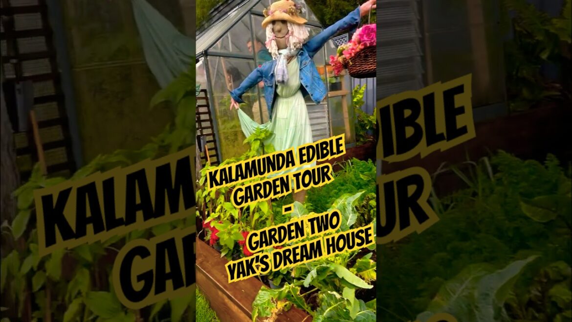 Edible Garden Adventure – Garden 02 #veggiepatch #ediblegarden Edible Garden Adventure - Garden 02 #veggiepatch #ediblegarden
