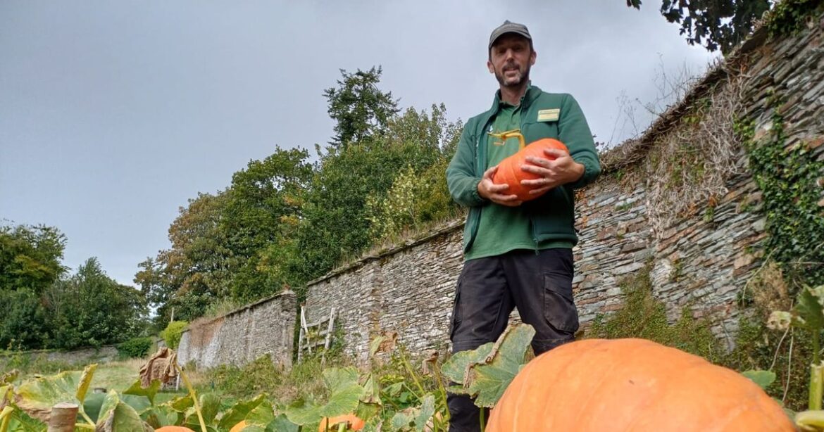 Wonderful National Trust twist that no-one saw coming Ipso logo