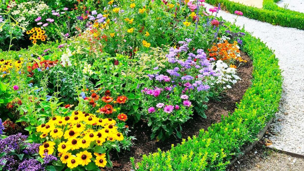 BEAUTIFUL! PERENNIAL FLOWER GARDEN DESIGN IDEAS | BEST PERENNIALS SHRUBS FLOWER PLANTS FOR GARDENING