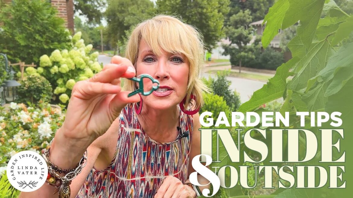Garden Tips For INSIDE And OUTSIDE 🪴🏡