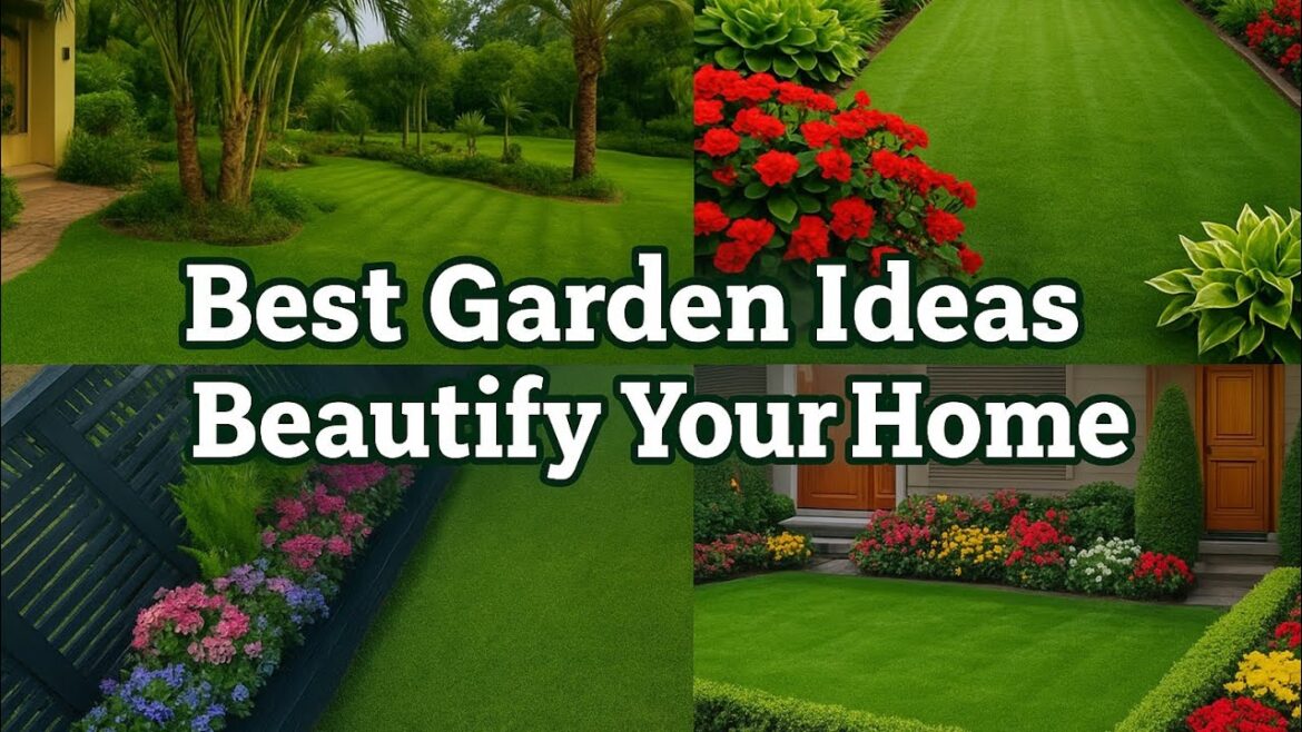 ๐ฟ Best Garden Ideas to Beautify Your Home | Simple & Creative Garden Tips ๐ฟ Best Garden Ideas to Beautify Your Home | Simple & Creative Garden Tips