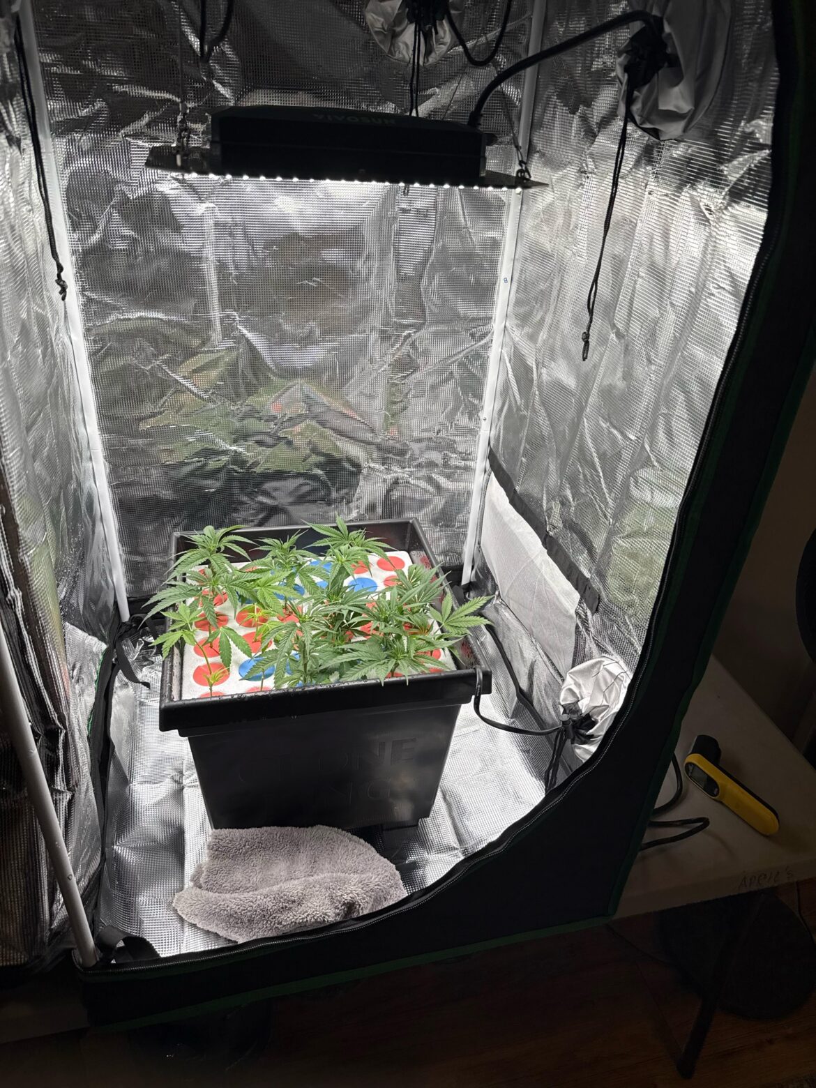 Help water is at 82°. How can I cut it down to about 72° I've tried frozen bottles of water and that got it down to 82 but I gotta go 10 more degrees down with two frozen bottles are brought down 5°.