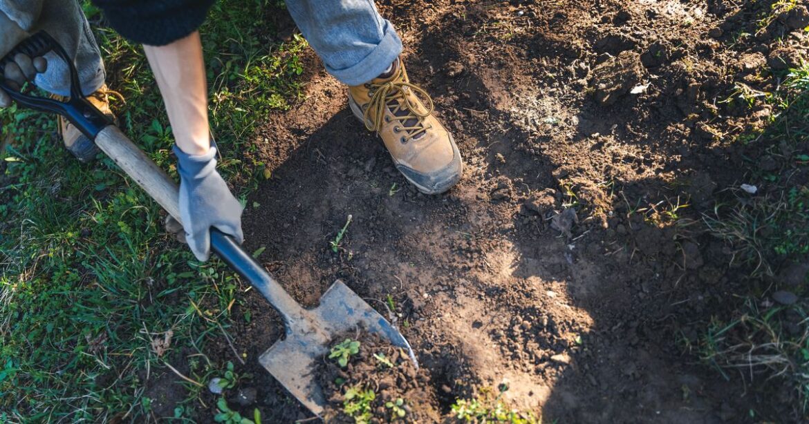 Man finds mystery box in garden and decides to contact police Ipso logo