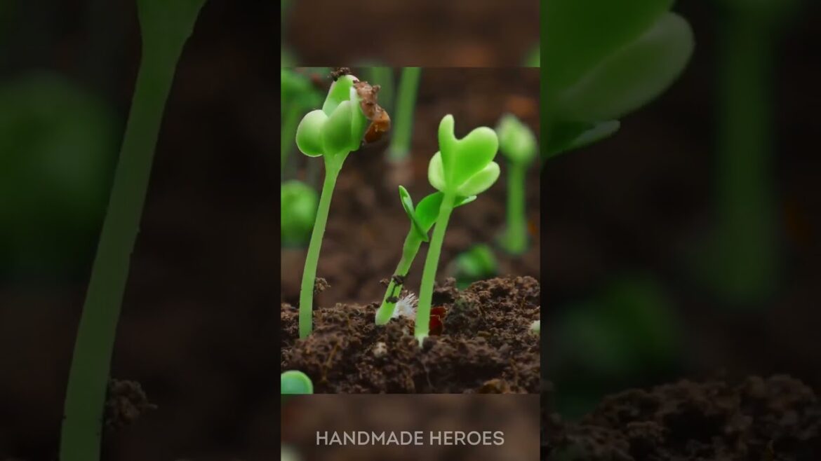 Gardening Tips That Guarantee Amazing Results 🌿✨