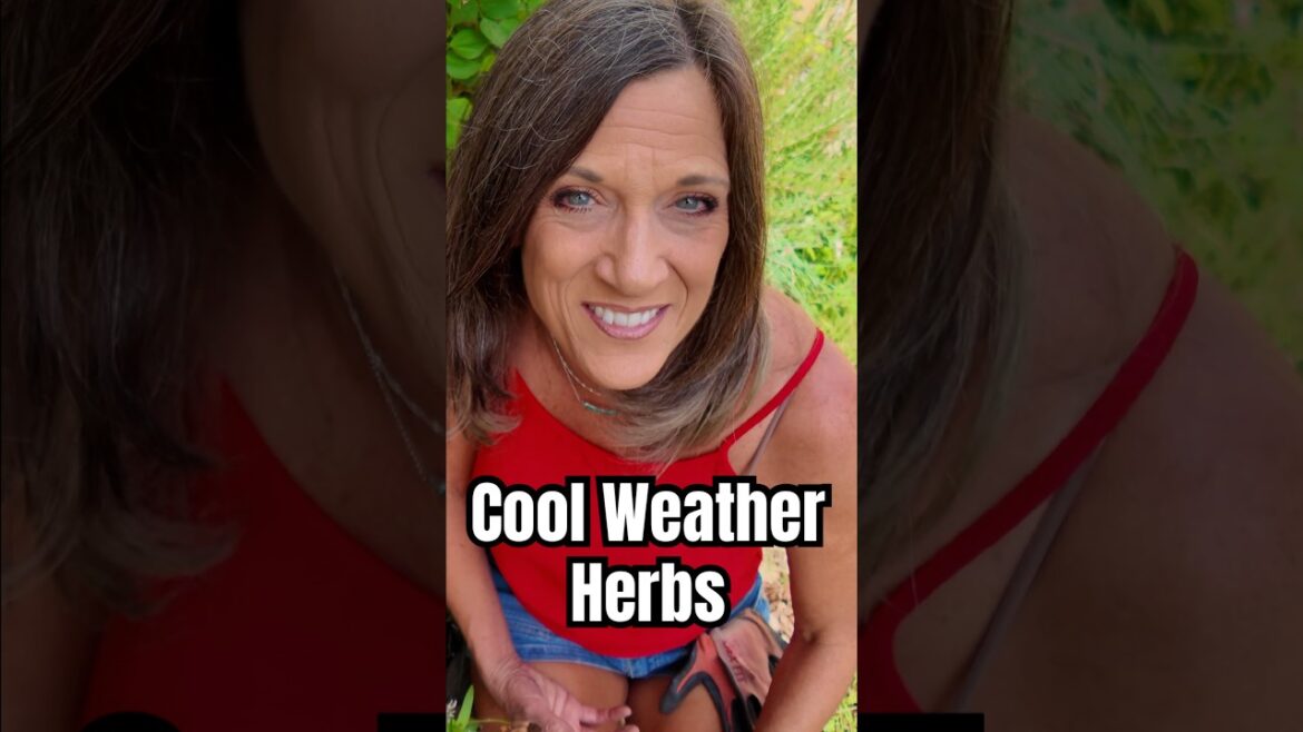Favorite Cool Weather Herbs
