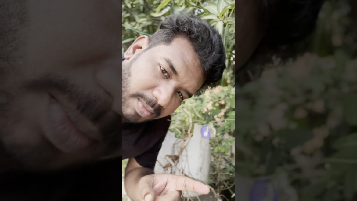 🌱 செப்டம்பர் மாதம் என்ன வளர்க்கலாம்? | Terrace Garden Tips #gardening #gardeningintamil