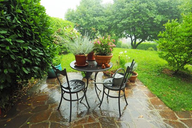 Potted plants on a table during rain