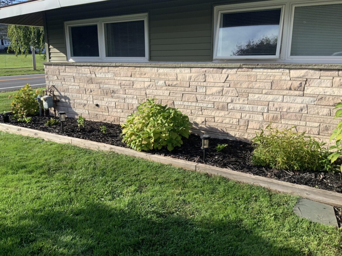 Planted some hydrangeas I proplifted from the local marina.
