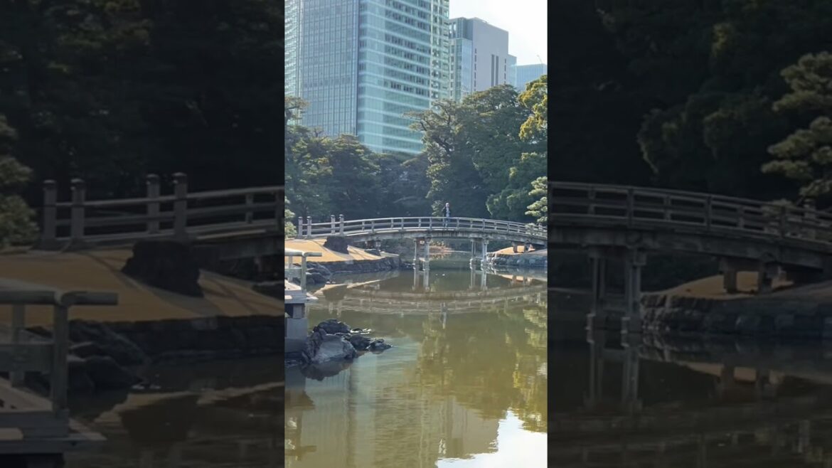 #shorts Japanese’s Garden #outdoors #travel#lake #beautiful #nature#relaxing#bonsai #landscape#japan