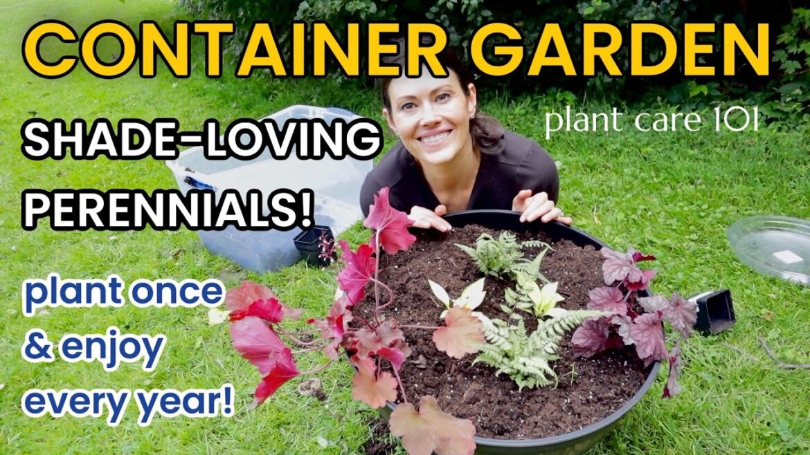 EASY CONTAINER GARDEN - Shade Loving Perennials - Hosta, Fern & Coral Bells - Plant Care 101