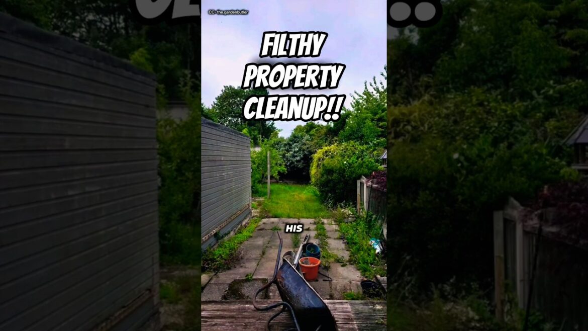 $300 Fine Warning Transformed This Lawn Into a Masterpiece | Satisfying Lawn Transformation πβ€ $300 Fine Warning Transformed This Lawn Into a Masterpiece | Satisfying Lawn Transformation πβ€