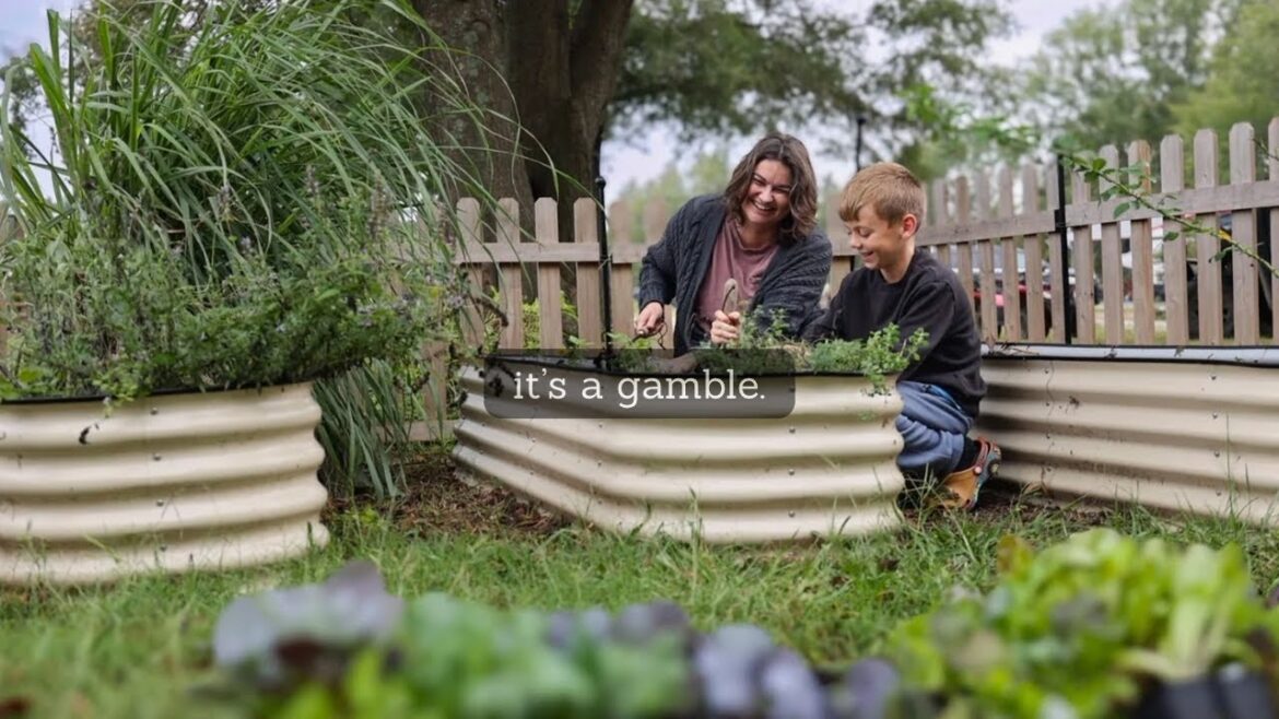 Roots and Refuge Farm: It’s a gamble (fall gardening with my garden boy) | VLOG It’s a gamble (fall gardening with my garden boy) | VLOG