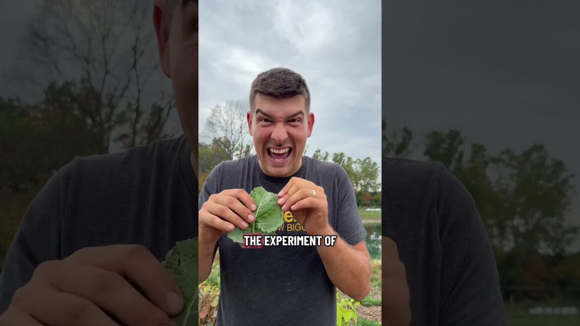 This is Nature’s FREE Pest Control! #gardening #garden #shorts