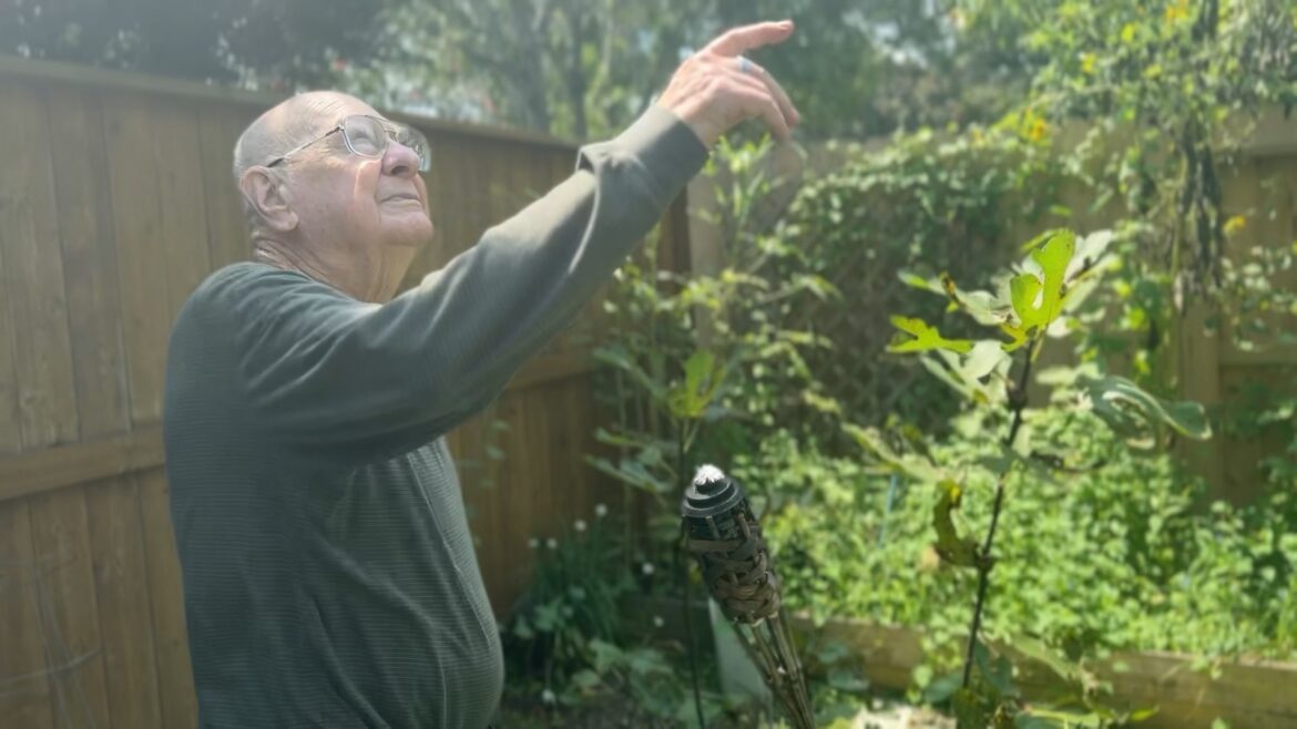 Sugar Land man grows 20-foot-tall sunflower plant Sugar Land man grows 20-foot-tall sunflower plant