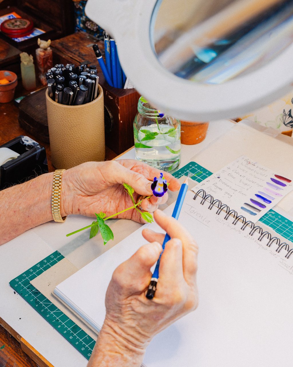 Sally Bunker at work on one of her botanical artworks. Photo: Jocelyn Tam
