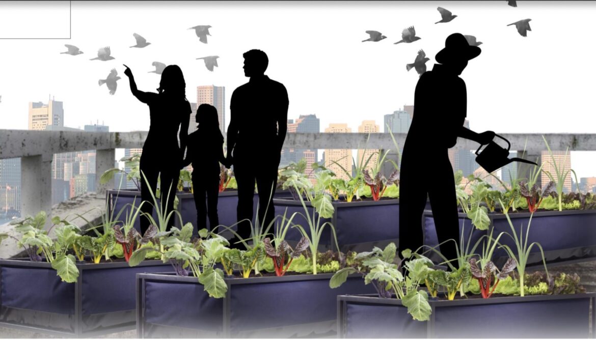 WE’VE REACHED 50K MEMBERS 🍅🌽🌸Thanks everyone for making this group such a wonderful growing community!