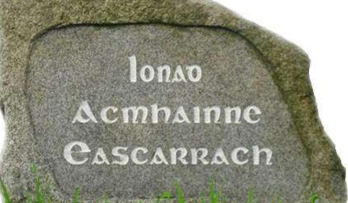 Gaeltacht community fights back against addiction and neglect Gaeltacht community fights back against addiction and neglect