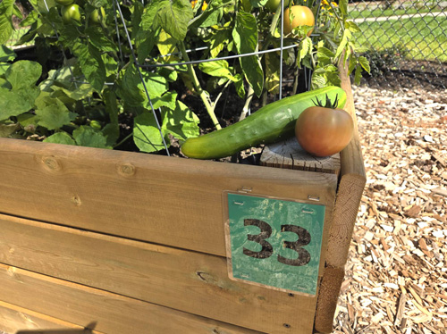 fresh produce, Porcher Park