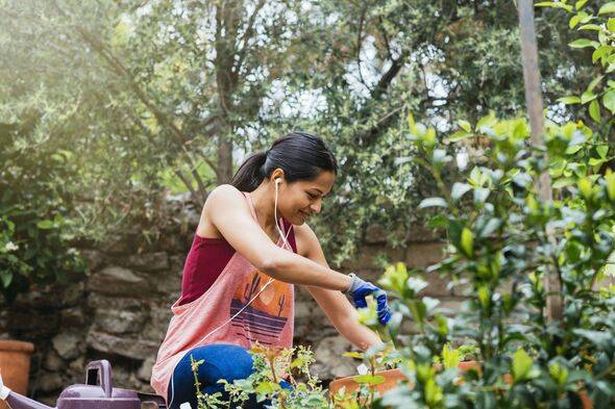 A woman smiling whilst doing gardening