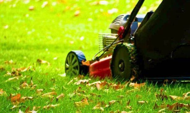Picture of someone mowing the lawn 