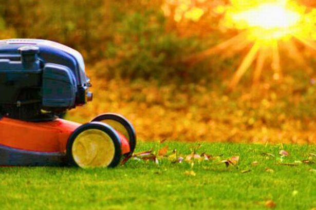 Picture of someone mowing their lawn 