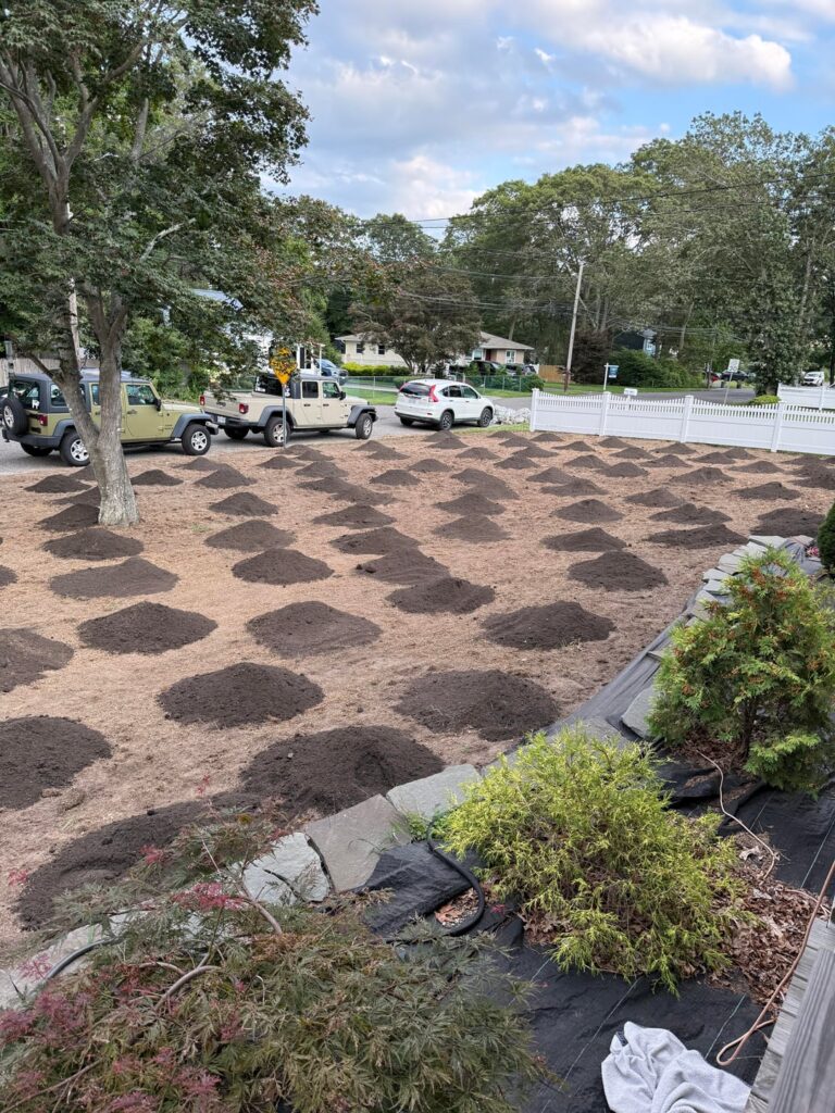 My Recent Lawn Renovation Project