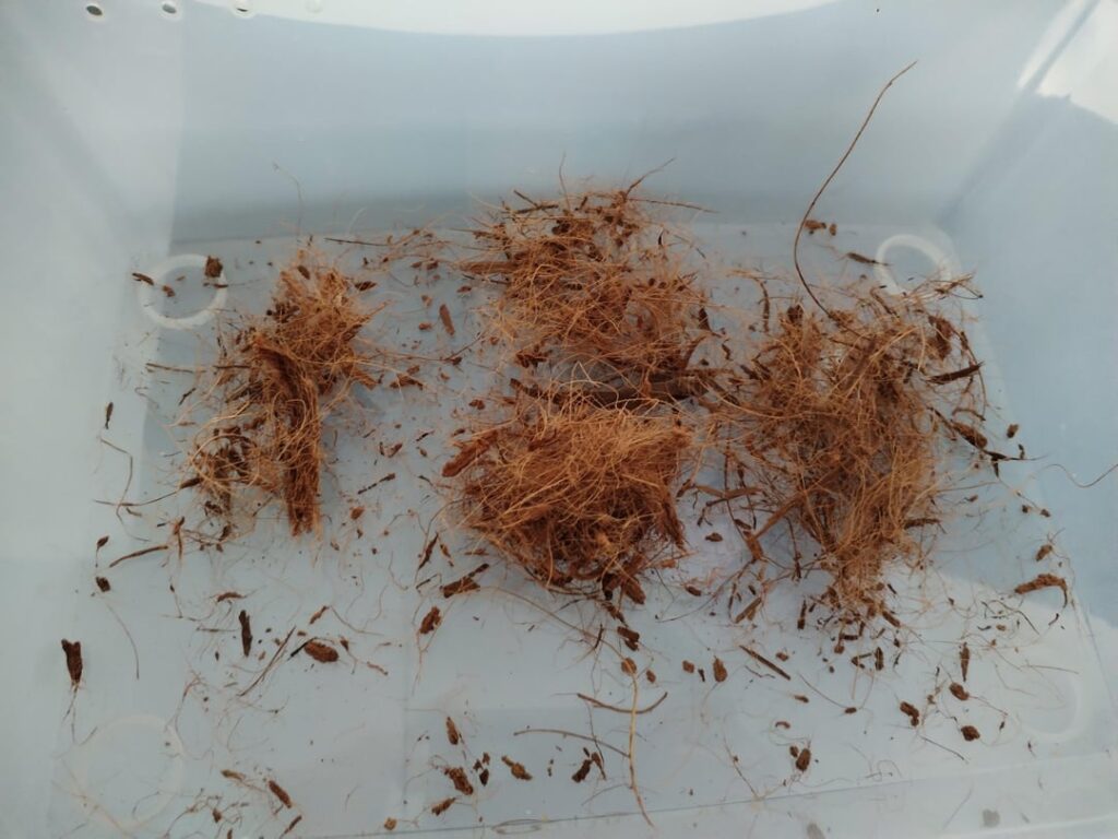is this Coco fiber? is this Coco fiber?