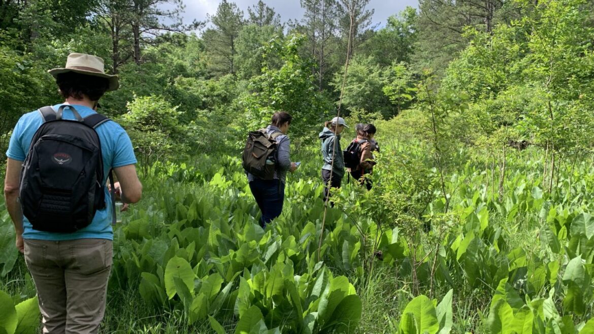 Out of the Garden, Into the Field: Coosa Valley Prairies, Arabia Mountain, and More 