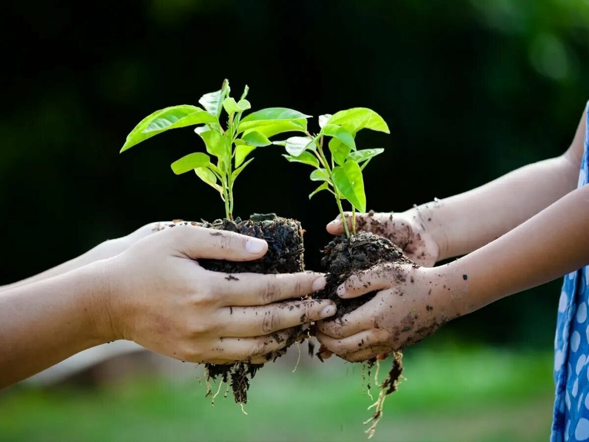 Master Gardeners plan annual fall plant exchange 