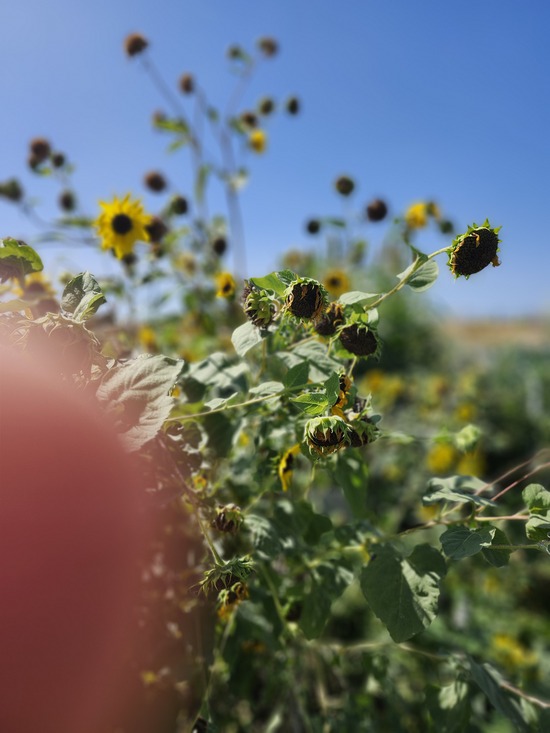 20250917_141017.jpg