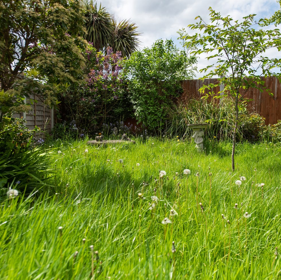 garden trends 2026