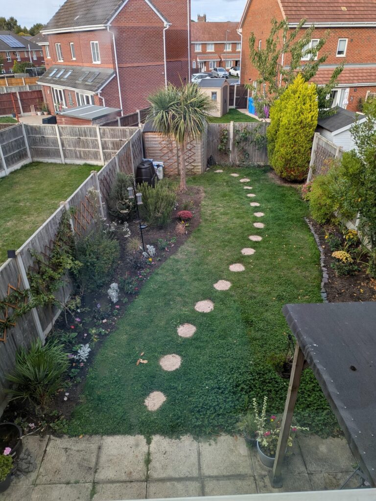 Twelve months of my garden: September Twelve months of my garden: September