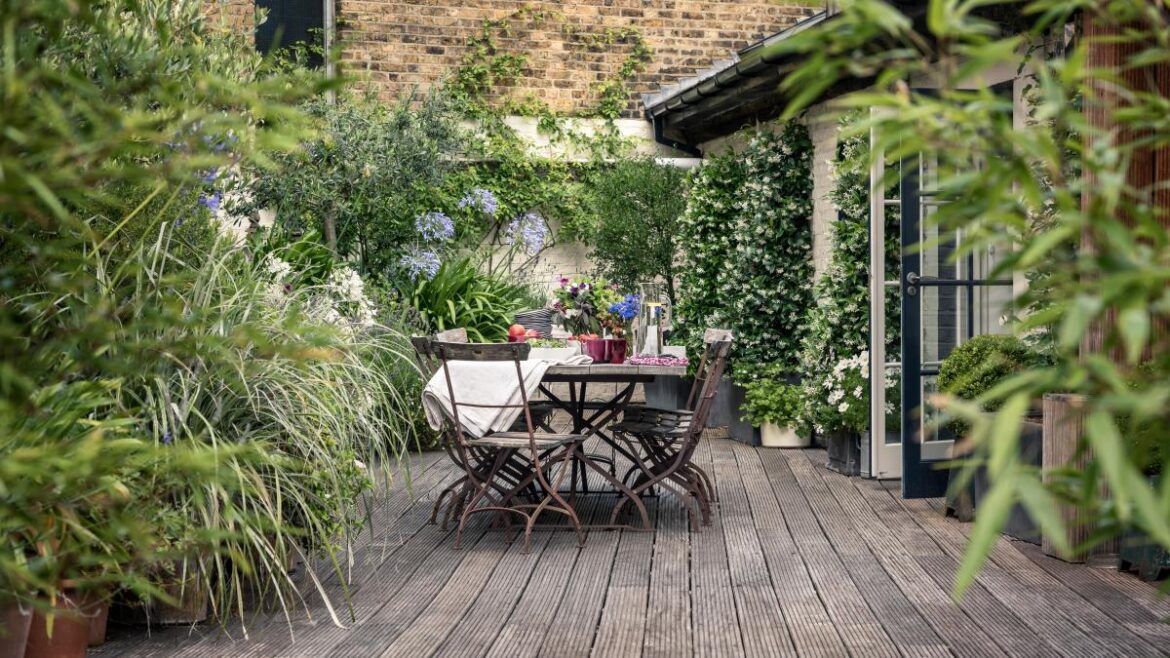 Garden centres fear existential threat as lawns fall under paving Garden centres fear existential threat as lawns fall under paving