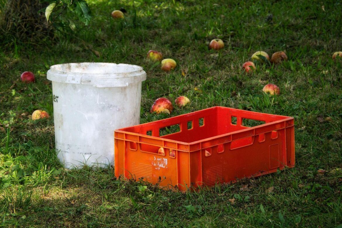 Gardeners warned over ‘neglecting simple task’ South Wales Argus