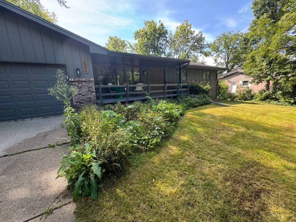 How to remove chaos and replace with mulch/nice plants