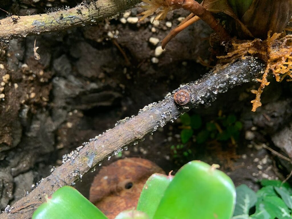 Will this go away? Will this go away?
