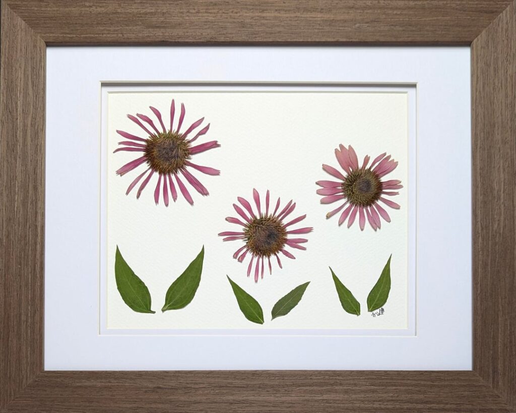 Native Plants in Art
