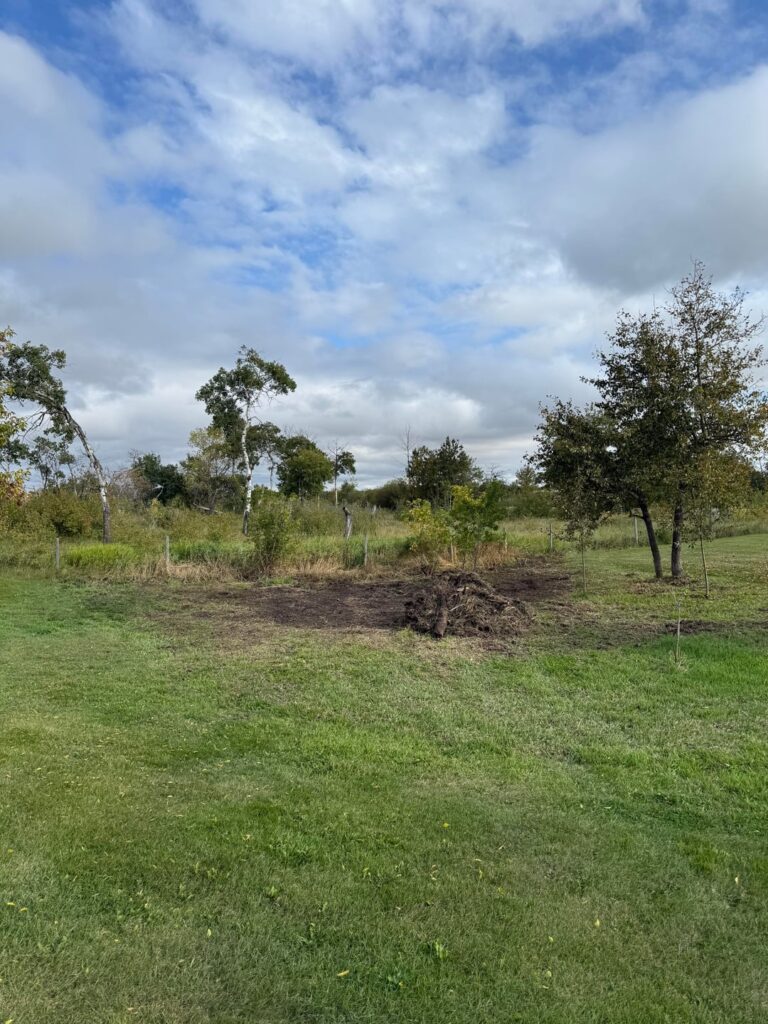 Turn this old slough/dumping grounds into a native rain garden Turn this old slough/dumping grounds into a native rain garden