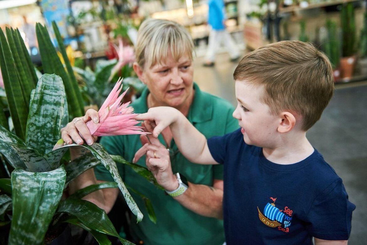 Shepton Mallet garden centre to host free workshops in October Somerset County Gazette