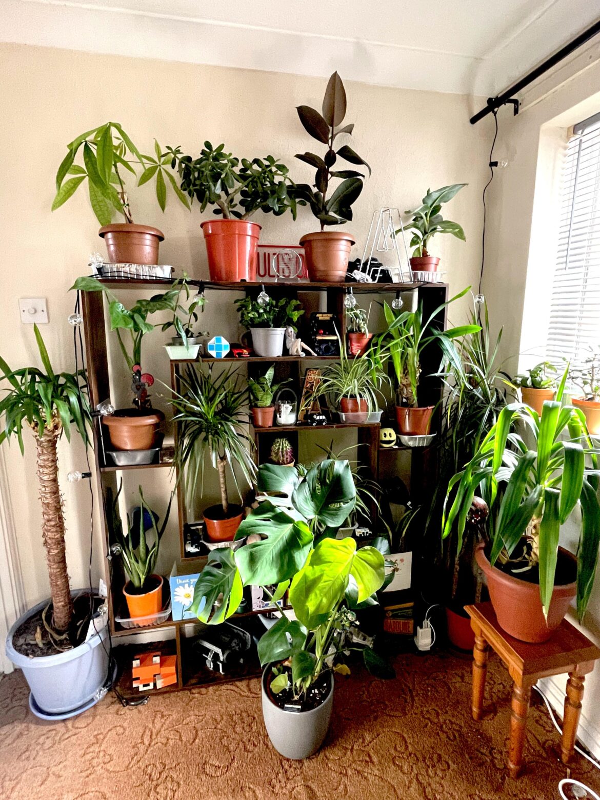 My collection so far..