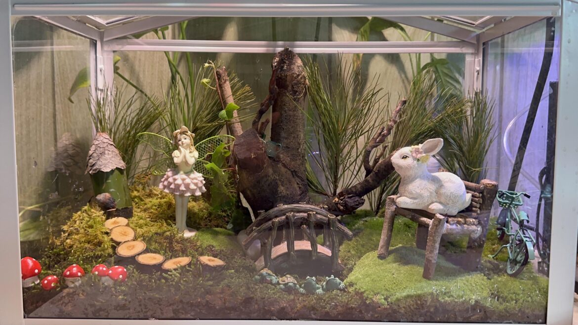 Fairy mossarium my daughter and I made together :) Fairy mossarium my daughter and I made together :)