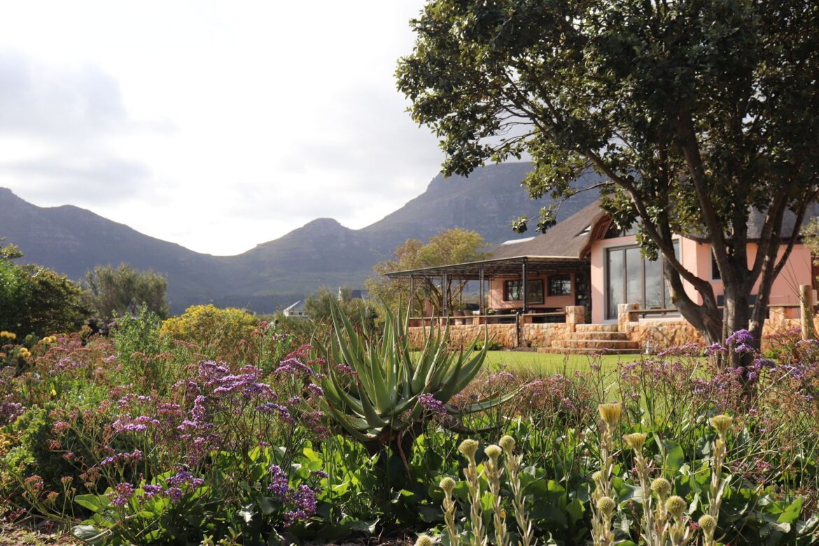 Noordhoek Open Gardens Blossoms Again for Its 11th Spectacular Year Noordhoek Gardens