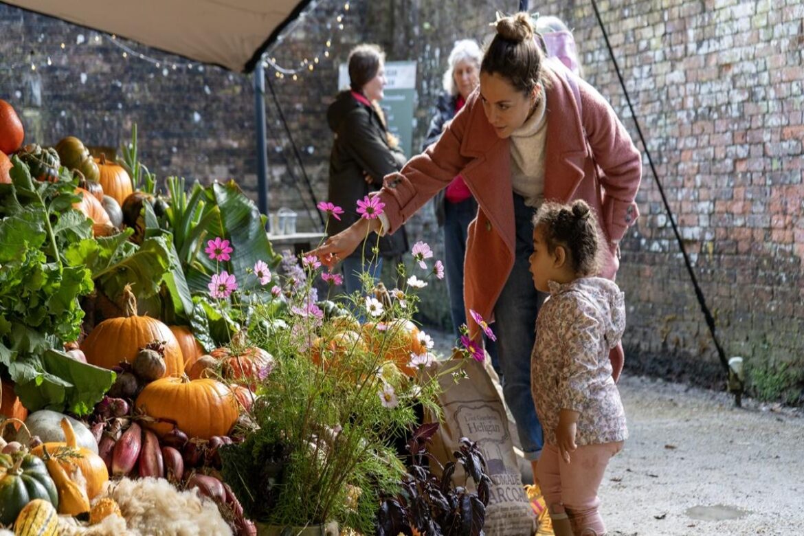 Cornish garden preparing for autumn season with two-week event The Packet - Falmouth