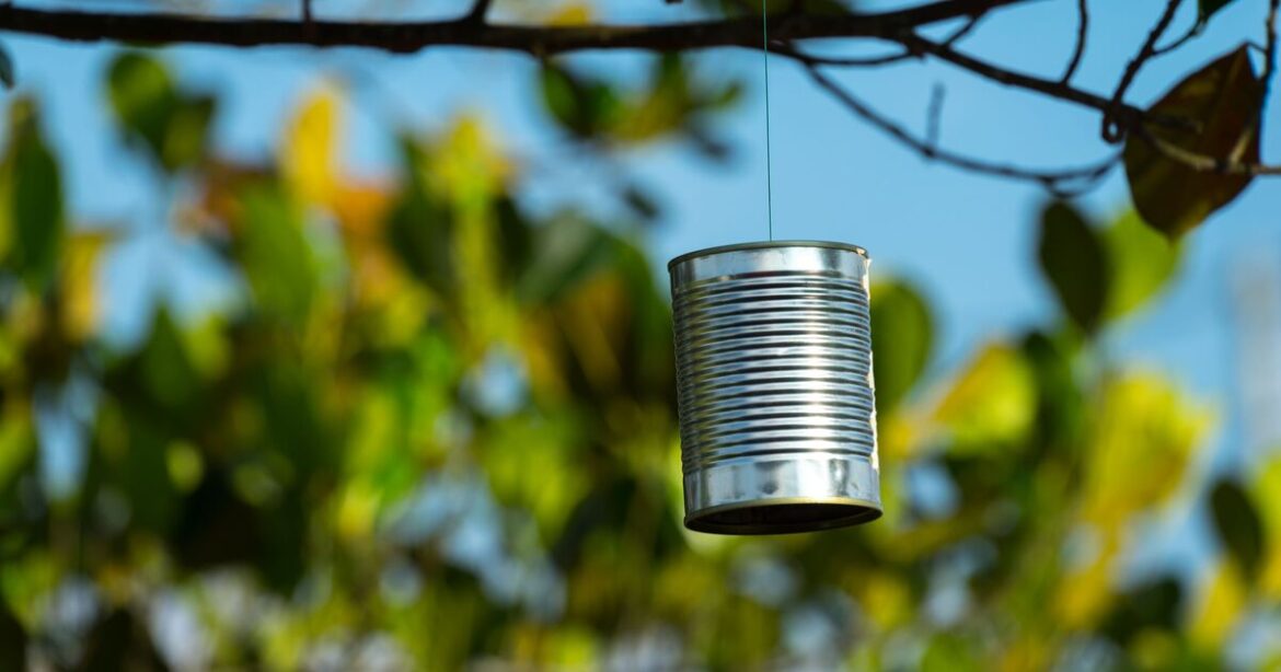 Gardener shares clever DIY hack for recycled coffee can in your yard Gardener shares clever DIY hack for recycled coffee can in your yard