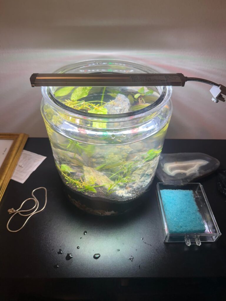 Is this light ok for now?