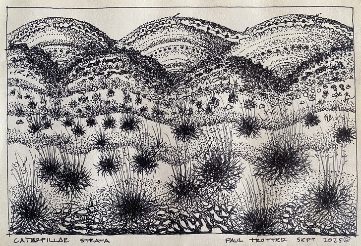 The hills of the Tjoritja/MacDonnell Ranges – with their ancient seabeds lifted, folded, jolted and eroded – were omnipresent across the three-day program.